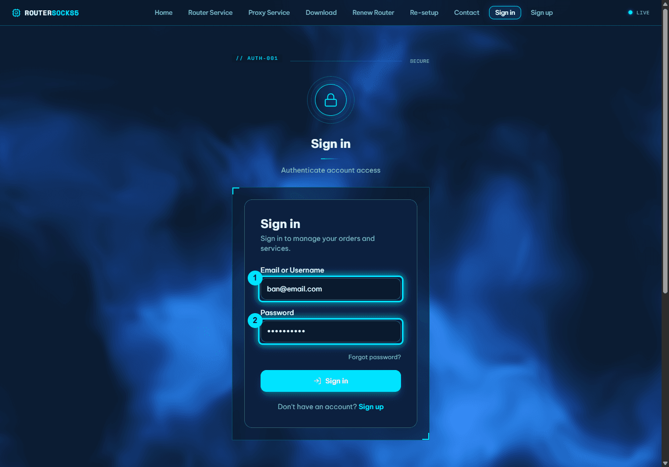 Login form with the email/username and password fields highlighted