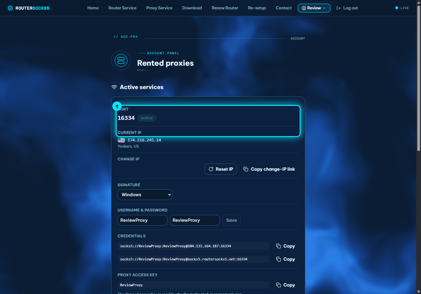 Proxy card: port, current IP & country highlighted